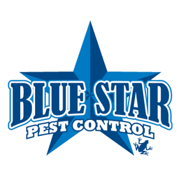 Hate Bugs - Blue Star Pest Control